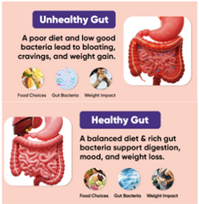 Healty Gut Diagram